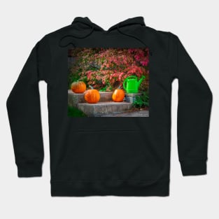 Autumn on the Door Step Hoodie